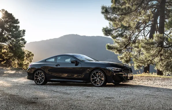 BMW, Coupe, 2018, 8-Series, M850i, XDrive