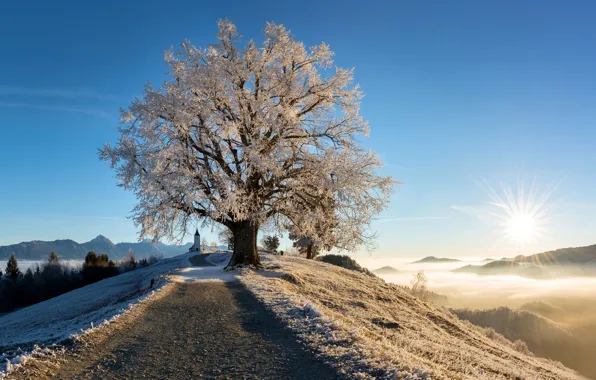 Картинка зима, иней, солнце, свет, горы, дерево, церковь