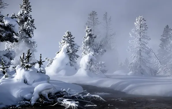 Зима, Снег, Пейзаж