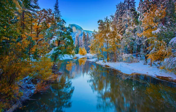 Зима, лес, снег, деревья, горы, река, скалы, Yosemite