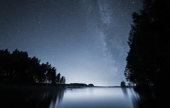 Лес, звезды, ночь, озеро, млечный путь