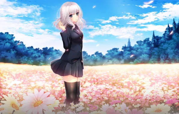 Картинка девушка, цветы, поляна, белые волосы, anime, art, Shoujo Minority, Katakura Nagisa