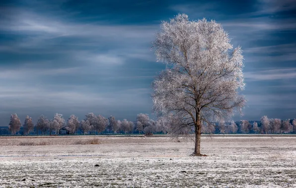 Картинка Germany, Bavaria, Wintertime, Winterlandschaft