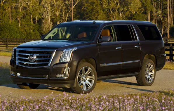 Cadillac, Escalade, '2014