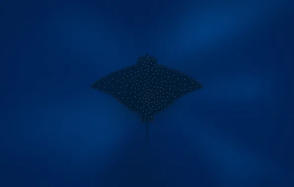Ocean, deep blue, manta rays