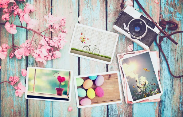 Картинка цветы, фото, яйца, весна, камера, colorful, Пасха, wood