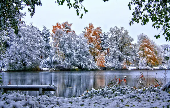 Картинка зима, небо, трава, снег, деревья, природа, река, листва