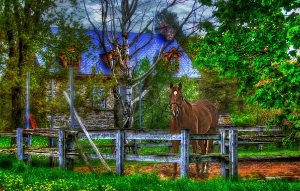 Картинка дом, конь, забор