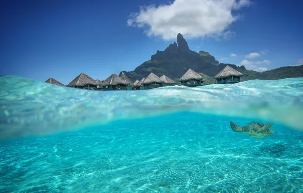 Вода, прозрачность, океан, лагуна, бунгало, Tahiti, beautiful, Bora-Bora