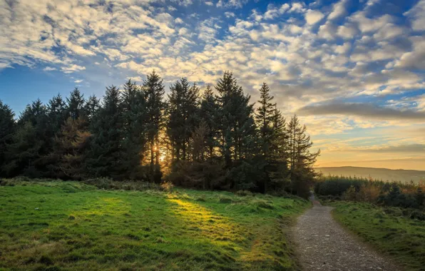 Пейзаж, природа, красота