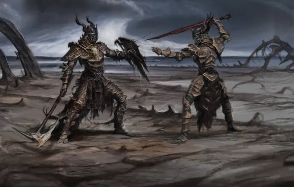 Картинка оружие, меч, войн, щит, поединок, Skyrim, concept art, The Elder Scrolls V