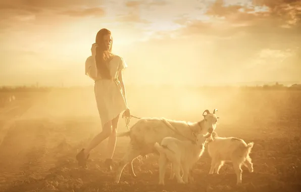 Девушка, прогулка, young, sun, Shepherd, козы, situation, sepia