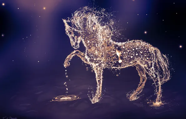 Картинка вода, капли, животное, конь, лошадь, арт