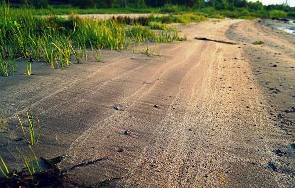 Песок, пляж, трава, вода, солнце, природа, роса, река