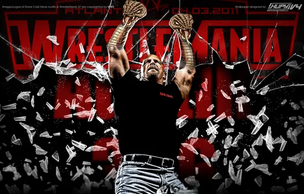 Wwe, Wrestle mania, What?, Steve austin, Stone cold