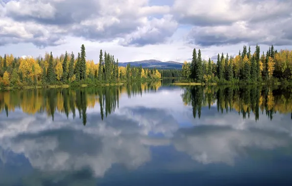 Картинка озеро, отражение, Деревья