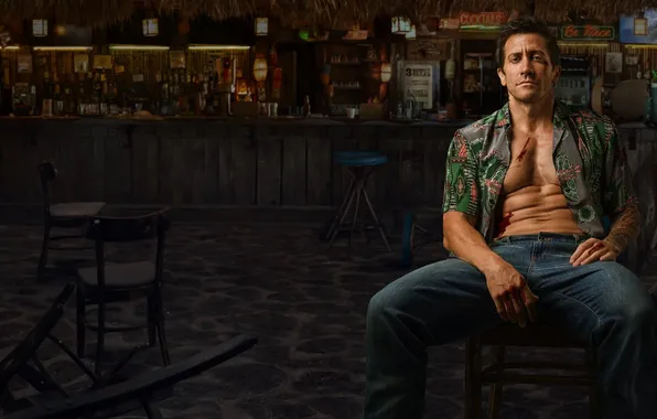 Мебель, стулья, бар, ремейк, Jake Gyllenhaal, Джейк Джилленхол, Dalton, Дом у дороги (2024)
