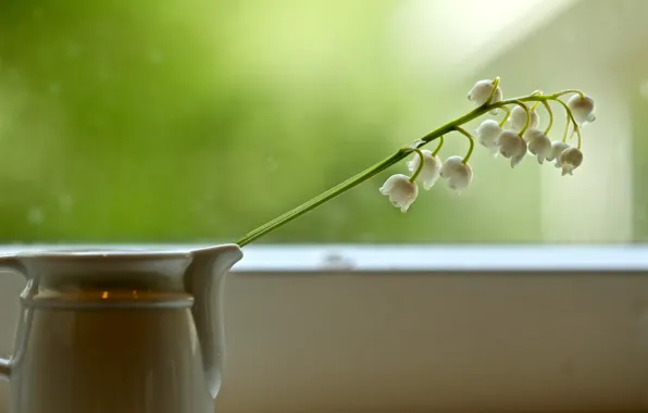 Стекло, свет, цветы, весна, окно, кувшин, белые, натюрморт