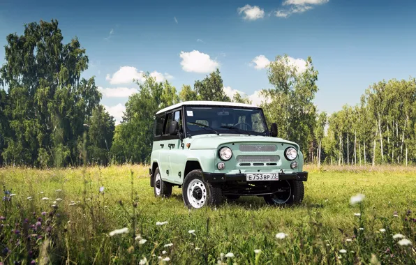 Зелень, авто, природа, УАЗ, пейаж