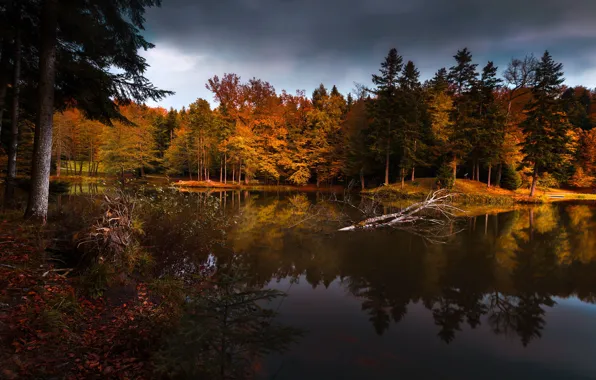 Осень, природа, парк