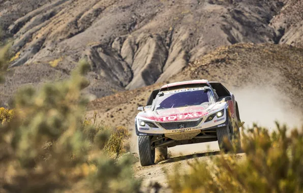 Спорт, Скорость, Гонка, Грязь, Peugeot, Фары, Red Bull, Rally
