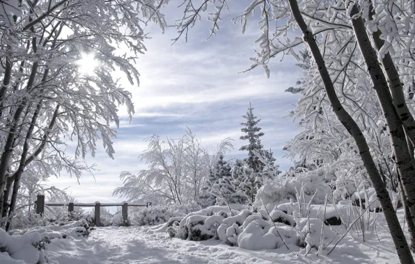 Для Литы, зимний пейзаж, романтика зимы, заснеженные деревья
