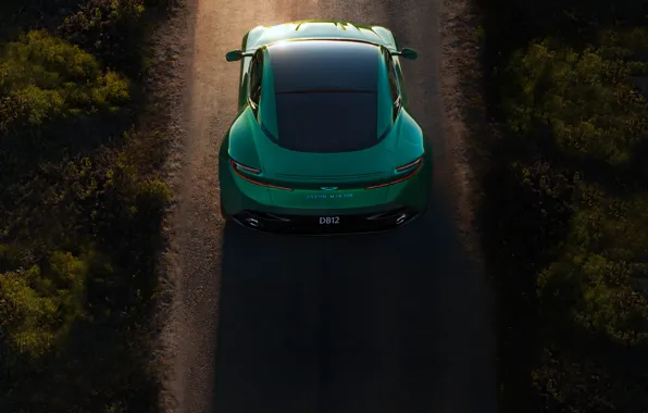 Green, Aston Martin, emerald, 2023, rear side, Aston Martin DB12, DB12