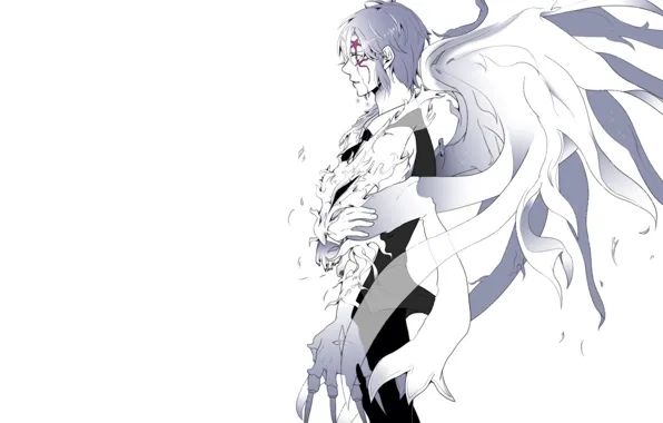 Картинка ангел, аниме, арт, парень, d.gray-man