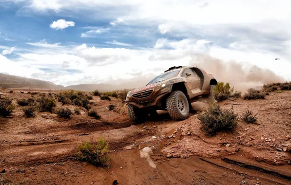 Пустыня, 2008, Peugeot, Rally, Dakar, DKR, baggy