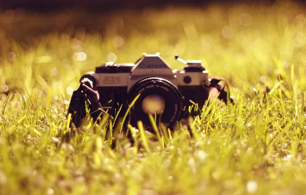 Трава, Фотоаппарат, объектив, canon, антиквариат