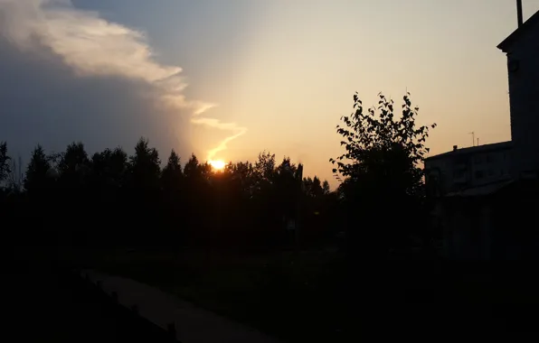 Небо, солнце, деревья, закат, дымок
