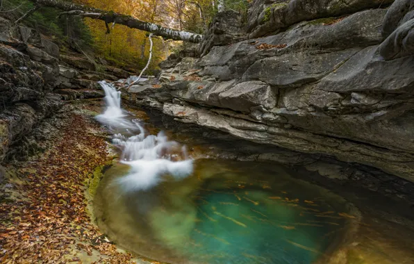 Осень, лес, скалы, берег, листва, водопад, поток, краски осени