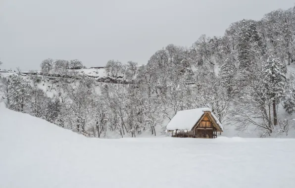 Картинка зима, снег, деревья, пейзаж, зимний, house, хижина, landscape