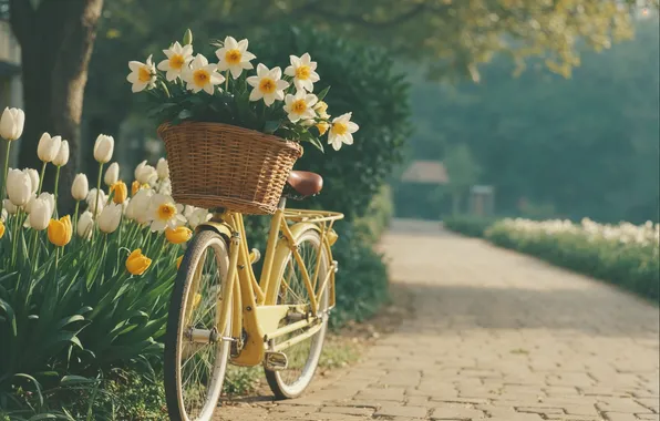 Картинка лето, цветы, велосипед, ретро, ромашки, весна, summer, sunshine