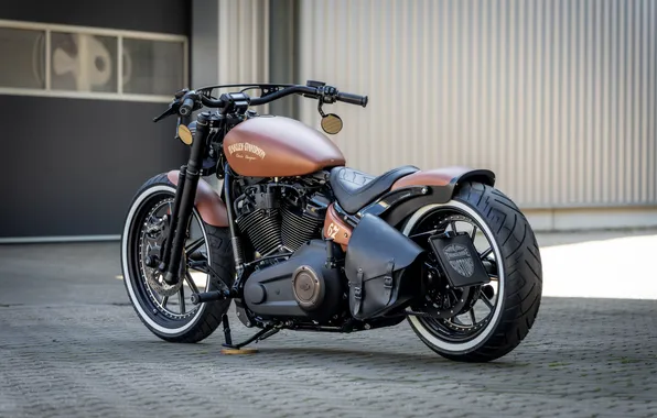 Harley-Davidson, Rear, Вид Сбоку, Customized, Thunderbike, Street Bob, Steel Horse, Custombikes