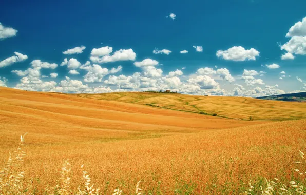 Картинка поле, лето, небо, облака, Италия, июнь, Тоскана