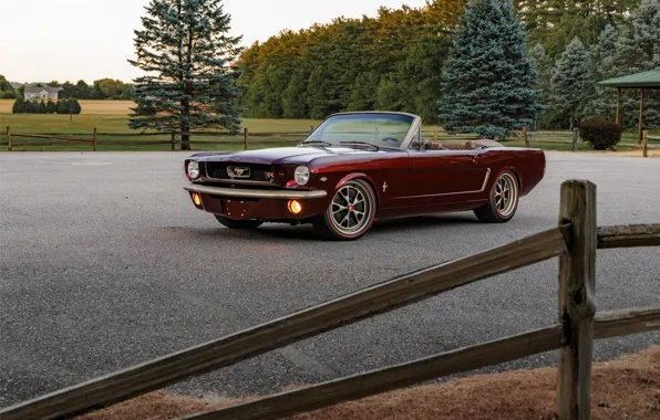 Car, Mustang, Ford, trees, Ringbrothers, 1965 Ford Mustang Convertible, Ford Mustang Uncaged
