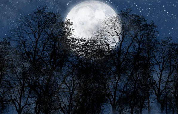 Картинка лес, ночь, луна, звезды.небо