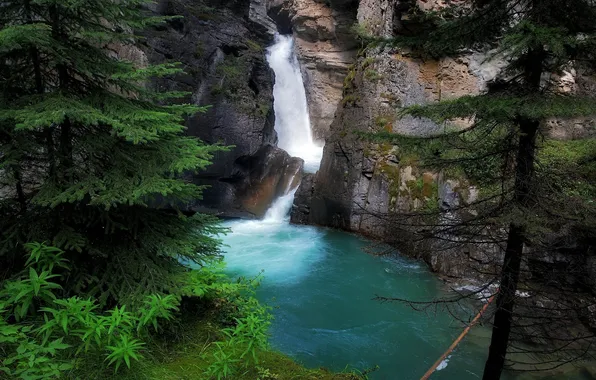 Картинка скала, озеро, водопад, ель