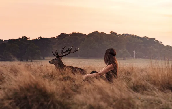 Girl, twilight, field, sunset, dusk, countryside, deer, wildlife