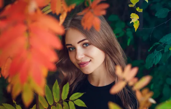 Картинка осень, взгляд, листья, девушка, лицо, улыбка, настроение, Ivan Shcheglov