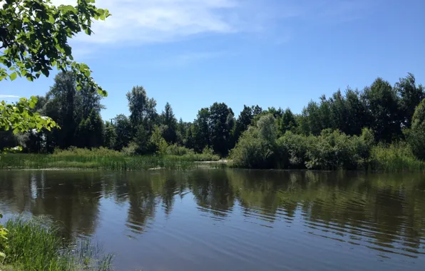 Небо, Вода, Трава, Деревья