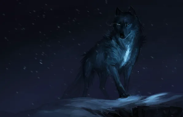 Картинка фон, волк, хищник, зверь
