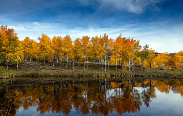 Картинка осень, небо, облака, деревья, озеро, пруд