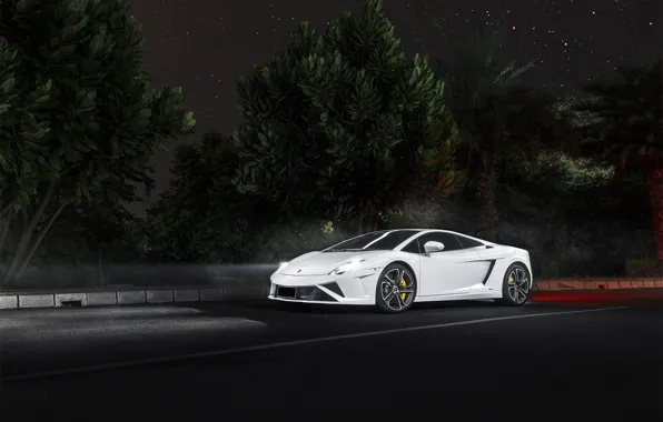 Картинка ночь, Lamborghini, white, Gallardo, ламборджини, night, front, LP560