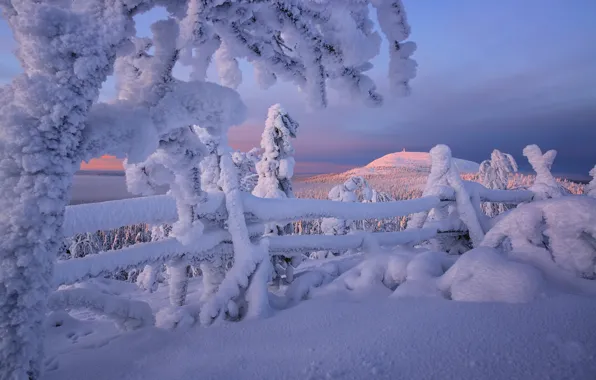Картинка зима, снег, деревья, забор, сугробы, Финляндия, Лапландия