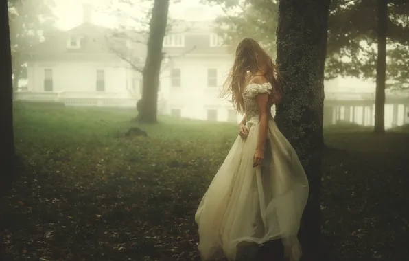 Картинка девушка, туман, платье, TJ Drysdale, Runaway