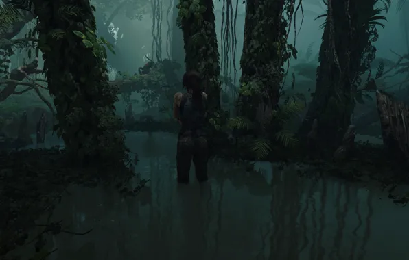 Девушка, Tomb Raider, Лара Крофт, Lara Croft, расхитительница гробниц, screenshot, Shadow of the Tomb Raider, …