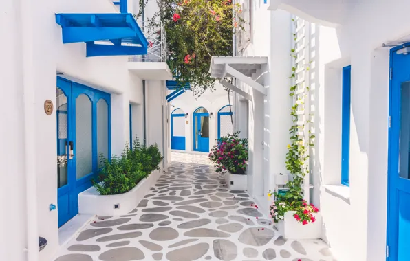 Картинка улица, дома, клумба, белые дома, синие двери