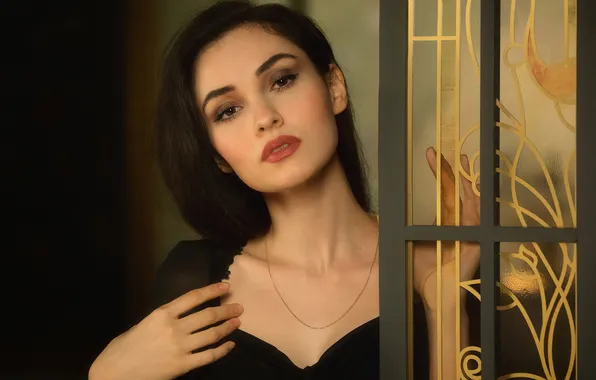 Взгляд, модель, брюнетка, красотка, Алексей Назаров, Анна Мелихова